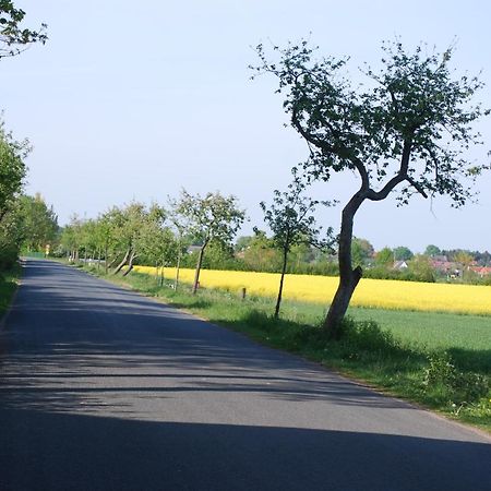 Ferienwohnung Im Grunen - Hof Blohme Langwedel  Екстериор снимка