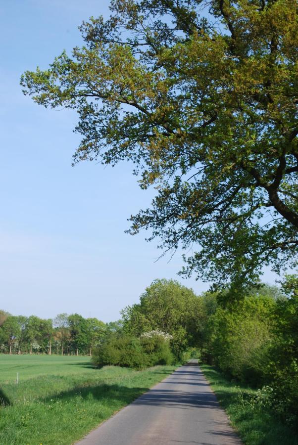 Ferienwohnung Im Grunen - Hof Blohme Langwedel  Екстериор снимка